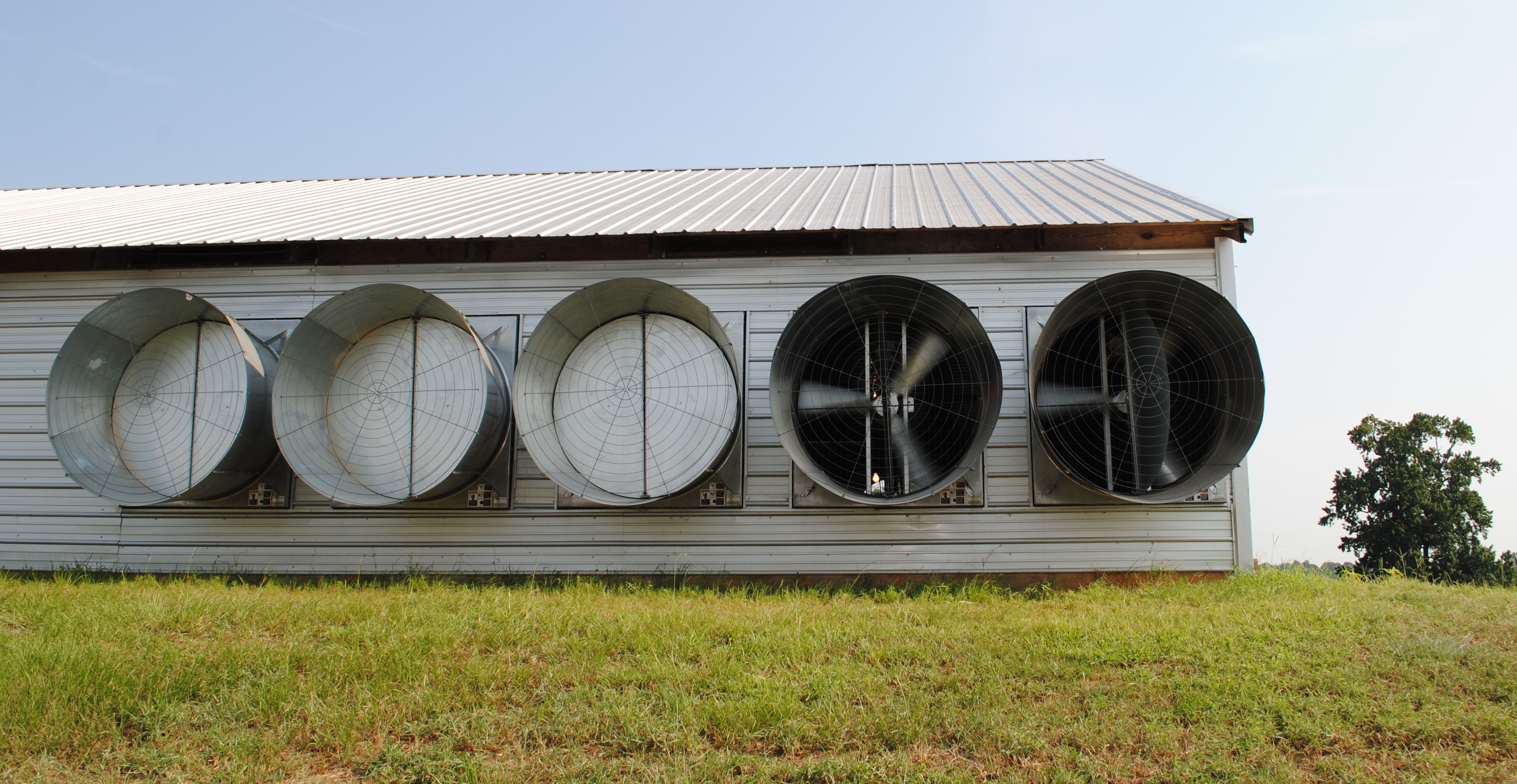 Environmental Best Management Practices for Poultry Production in Louisiana 
